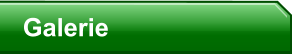 Galerie